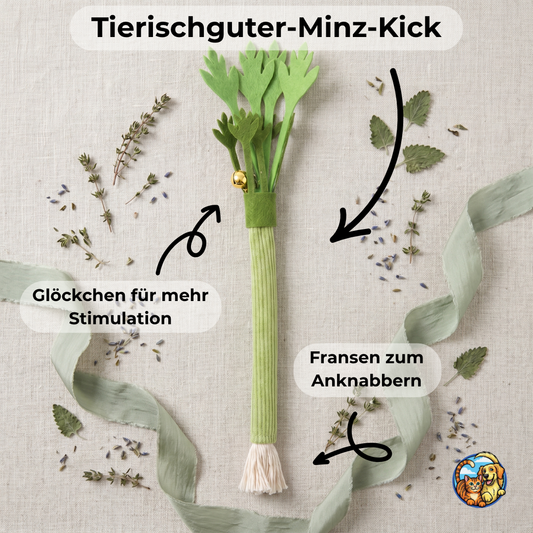 Tierischguter-Minz-Kick