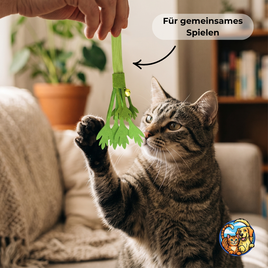 Tierischguter-Minz-Kick