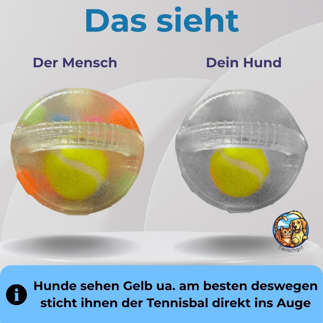Tierischgut ausdauernder Kau-Buddy
